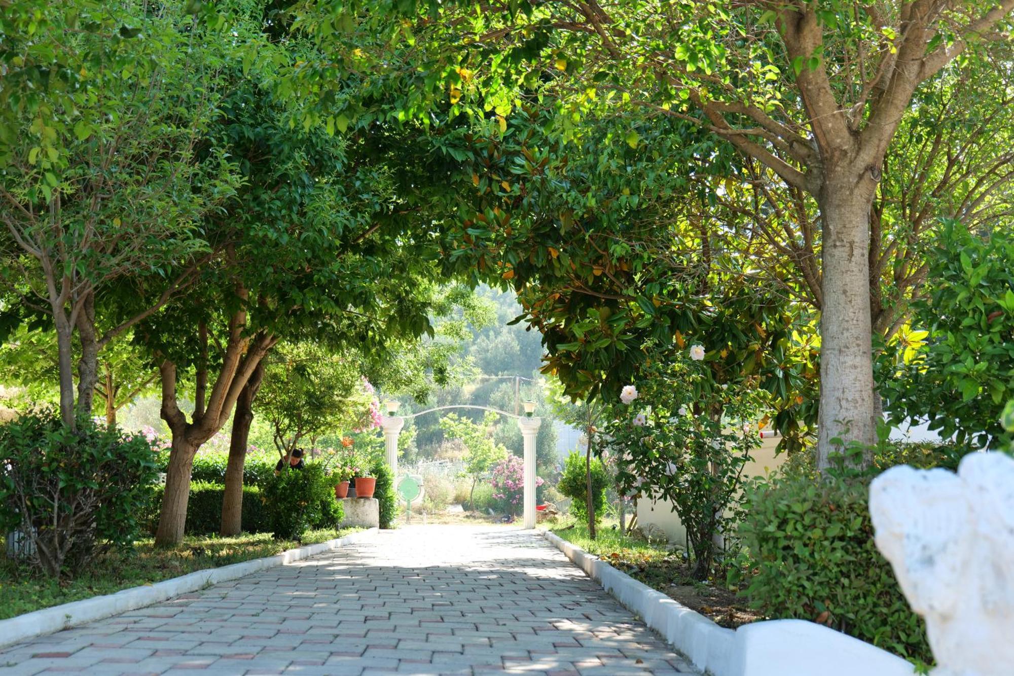 Edva Resort Radhime Ngoại thất bức ảnh